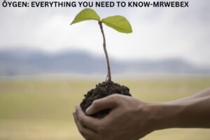 Õygen: Everything You Need To Know-mrwebex